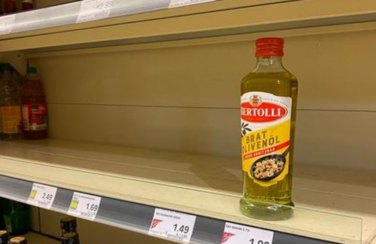 Vaj luledielli dhe bunkerë, Gjermania në frikë nga lufta