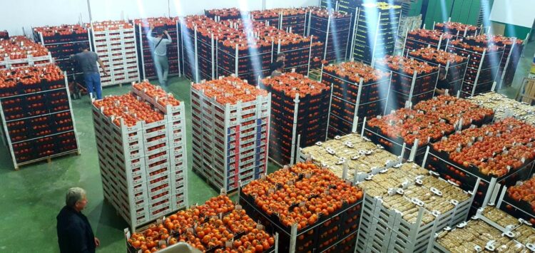 Shqipëria me peshën më të lartë të bujqësisë në Europë, por me varësinë më të lartë nga importi i ushqimeve