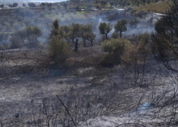 Rishfaqen vatrat e zjarrit në Vlorë/ Dëme të konsiderueshme në ullishten e Bestrovës dhe Pusit të Mezinit