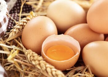 Gripi i shpendëve/ Si ta kuptojmë nëse veza dhe mishi i pulës janë të infektuar