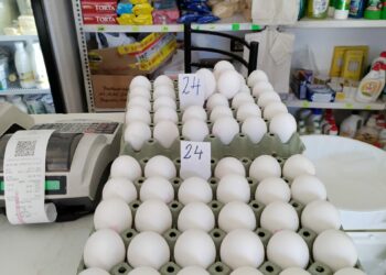 Çmimi i vezës arrin 24 lekë, përgjysmohet prodhimi nga pasojat e gripit të shpendëve