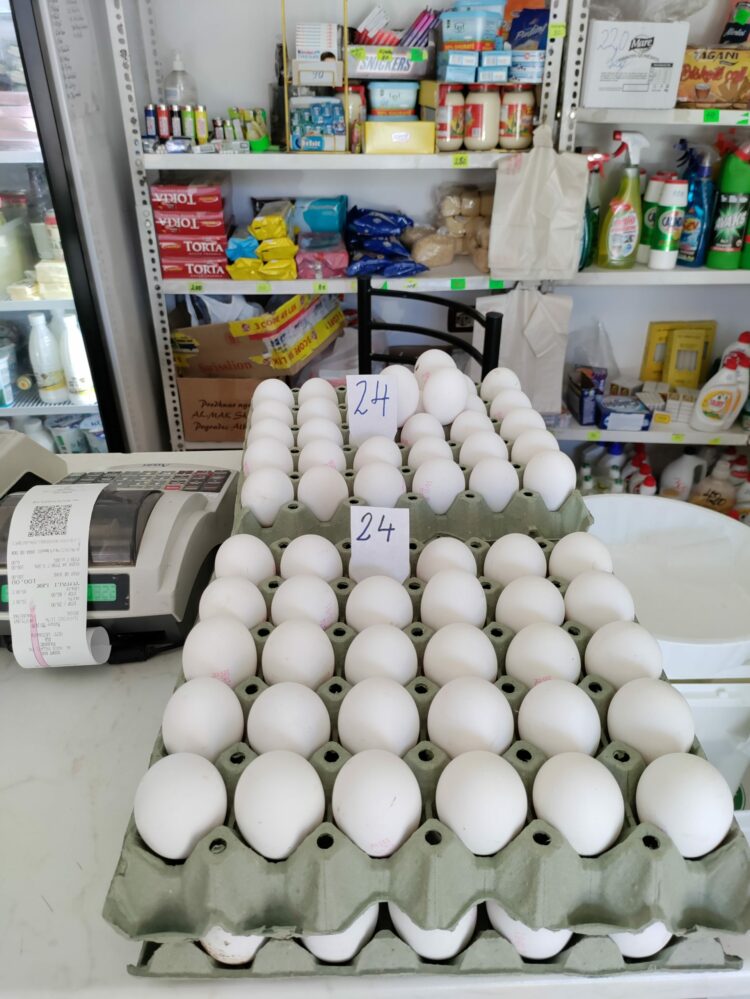 Çmimi i vezës arrin 24 lekë, përgjysmohet prodhimi nga pasojat e gripit të shpendëve