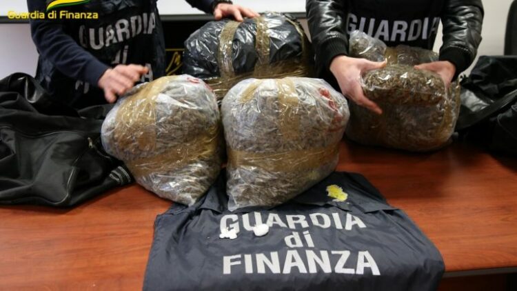 24 kg marijuanë në dollap, arrestohet shqiptari në Itali