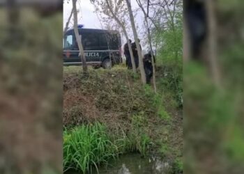 72 orë kontrolle të policisë dhe FNSH-së, çfarë po ndodh në Krujë