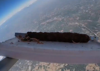 E PAZAKONTË! Pronari i restorantit turk tenton të çojë në hapësirë një pjatë me qebap