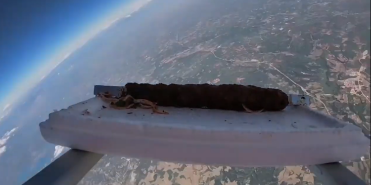 E PAZAKONTË! Pronari i restorantit turk tenton të çojë në hapësirë një pjatë me qebap