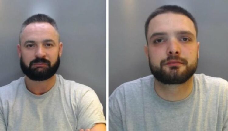 Arrestohen shqiptarët për kultivimin e drogës në shtëpi bari në Angli