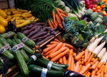 FAO: Çmime rekord për ushqimet në mbarë botën