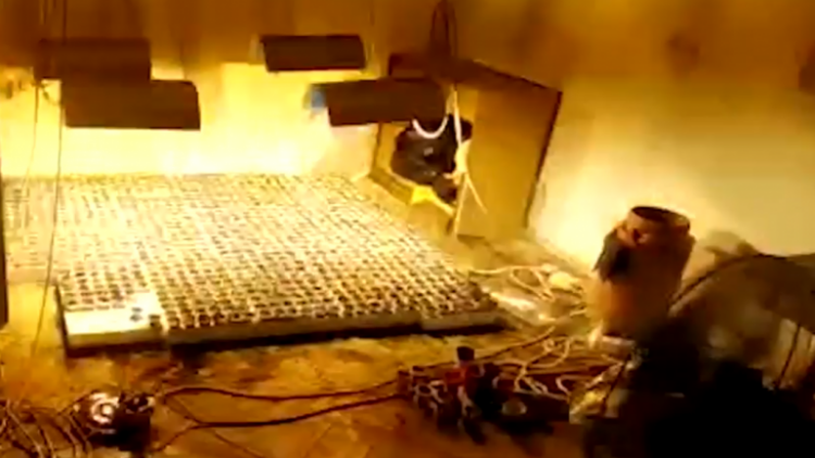 Kishin kthyer banesën në ‘shtëpi bari’, shpallen në kërkim pronari dhe bashkëpunëtori në Kukës