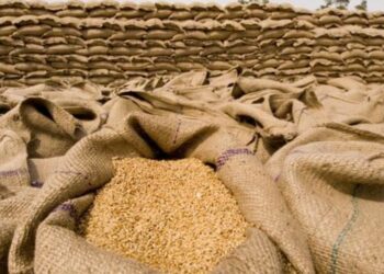 Importet e drithërave nga Rusia drejt Shqipërisë u dyfishuan në mars