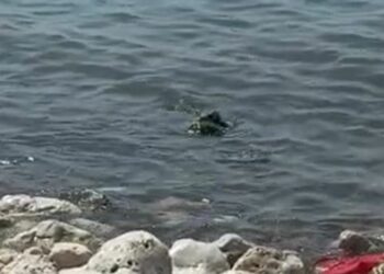 Gjendet e pajetë një grua në bregdetin e Durrësit