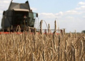 Media spanjolle: BE po vlerëson të kryejë një mision detar për të eksportuar grurë nga Ukraina