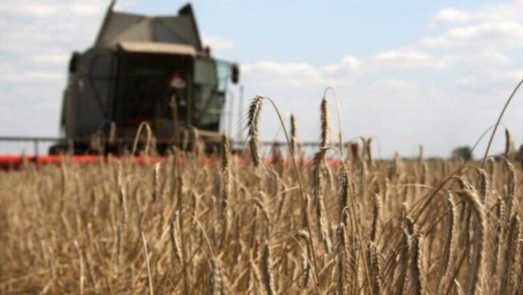 Media spanjolle: BE po vlerëson të kryejë një mision detar për të eksportuar grurë nga Ukraina