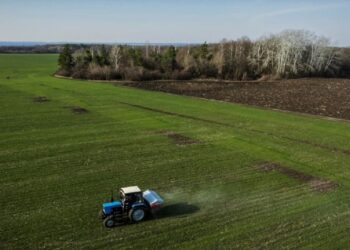 OKB: Çmimet botërore të ushqimit shënojnë rënie të lehtë