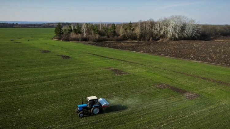 OKB: Çmimet botërore të ushqimit shënojnë rënie të lehtë