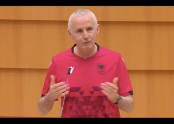 Habit eurodeputeti irlandez/ Mban fjalim në Strasburg me fanelën e Shqipërisë