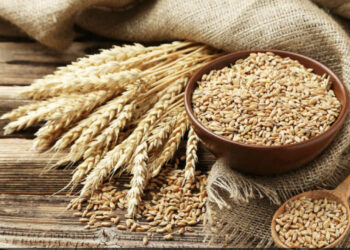 BB: Shqipëria do të goditet nga kriza e çmimeve të drithërave dhe energjisë, inflacioni 5%