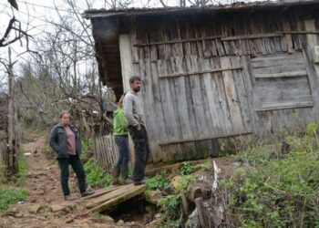 Familjet e varfra në Shqipëri çojnë 12% të shpenzimeve mujore për grupin e energjisë