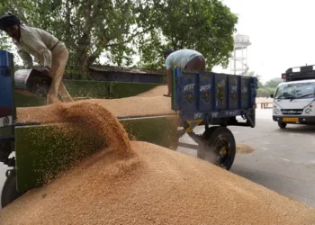 OKB: Kriza ushqimore mund të zgjasë me vite