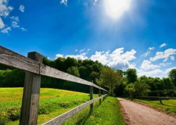 Verë e parakohshme? Si parashikohet moti për ditët në vijim