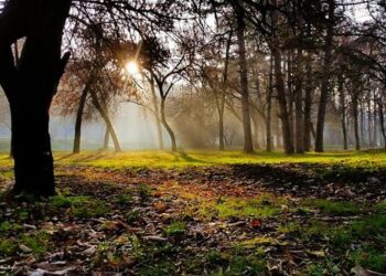 Do të vazhdojnë reshjet e shiut? Parashikimi i motit për këtë javë