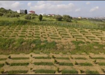 Ministrja e Bujqësisë: BE ka miratuar buxhetin për IPARD 3 me vlerë 112 mln euro për bujqësinë e zhvillimit rural