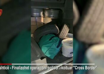 Arrestohen tre persona në Kapshticë, njëri prej tyre doganier