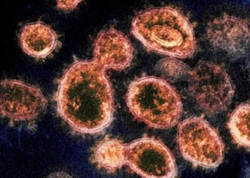 OBSH: Origjina e paqartë e COVID-it, të studiohet teoria e rrjedhjes laboratorike