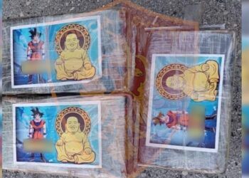 Kapen 45 kg kokainë e mbështjellë me ‘Gokun’ në Durrës! Droga e fshehur në konteinerin me mish pule nga Brazili!