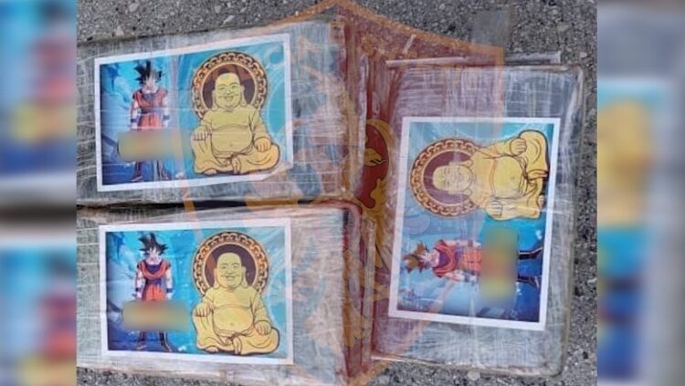 Kapen 45 kg kokainë e mbështjellë me ‘Gokun’ në Durrës! Droga e fshehur në konteinerin me mish pule nga Brazili!