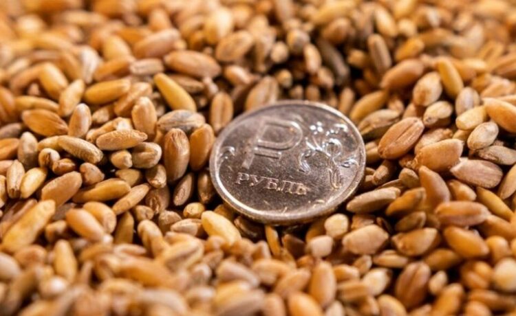 Ambasadori i Kievit në Ankara: Turqia po blen grurin që Rusia vodhi në Ukrainë