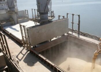 Gruri i bllokuar në Ukrainë, SHBA-ja po bashkëpunon me aleatët, një sasi nxirret jashtë vendit