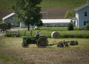 FAO: Mbështetja direkte për fermerët në Shqipëri 18 herë më e ulët se në rajon