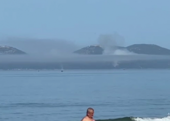 Sazani prej 3 ditësh në flakë, digjen dhjetëra hektarë pisha shekullore