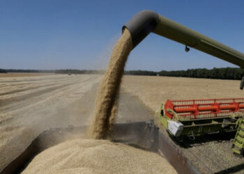 Pesë mënyrat për t’u përballur me taktikat e shantazhit ushqimor të Vladimir Putinit