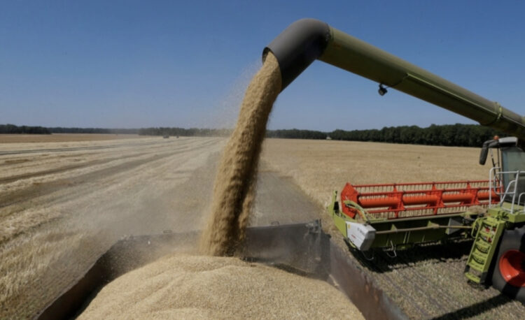 Pesë mënyrat për t’u përballur me taktikat e shantazhit ushqimor të Vladimir Putinit