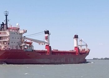 Kiev, anijet e para të huaja mbërrijnë në porte për të ngarkuar grurin