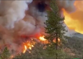 29 vatra zjarri gjatë 24 orëve të fundit/ ‘Mbrojtja’: Janë vënë nën kontroll shumica prej tyre, 7 ende aktive