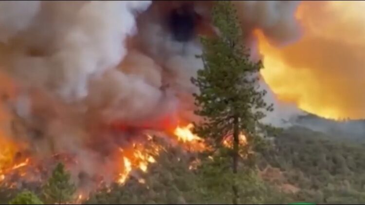 29 vatra zjarri gjatë 24 orëve të fundit/ ‘Mbrojtja’: Janë vënë nën kontroll shumica prej tyre, 7 ende aktive