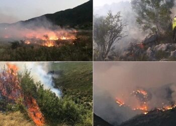 Situata e zjarreve në vend, Ministria: 2 vatra aktive në Mirditë dhe Kurbin, 15 të tjera të izoluara