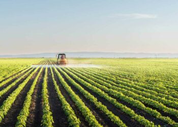 NASA: Rusia kontrollon rreth 22 për qind të tokës bujqësore në Ukrainë