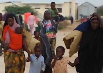 Parashikimi i zymtë i OKB-së: Bota do ta humbasë betejën me urinë