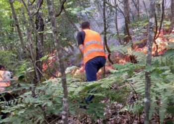 Situata e zjarreve në vend/ Ministria e Mbrojtjes: Aktualisht ka tri vatra aktive