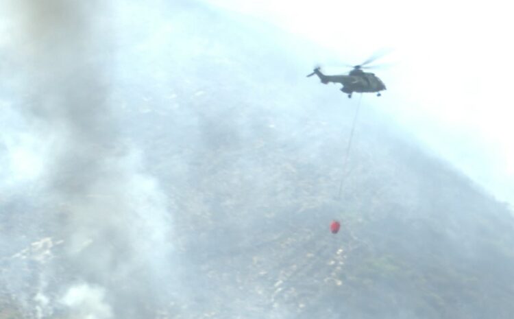 Situatë e vështirë nga zjarret në Evropë, evakuohen mijëra banorë