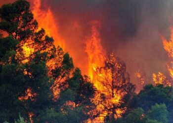 Ministria e Mbrojtjes: Janë 10 vatra zjarri problematike në vend (HARTA)