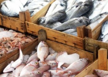 Efekti domino i inflacionit, nis rritja e çmimit të peshkut me ritme të larta në korrik