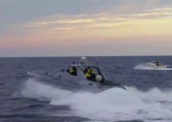 Guardia di Finanza operacion në Vlorë, sekuestrohen 600 kg kanabis, 3 të arrestuar