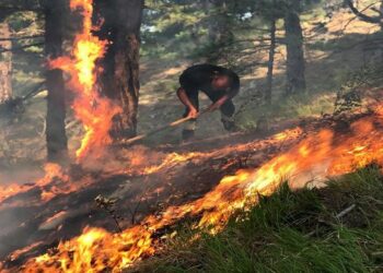 Zjarret në Shqipëri/ Në muajin korrik u shuan 361 vatra, 21 të tjera ende aktive