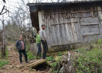 UNICEF: 35 mijë shqiptarë në varfëri nga kriza e luftës, më e larta në rajon bashkë me Kosovën