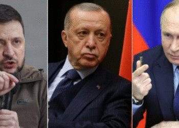 Marrëveshja e grurit pezull, Erdogan do të flasë me Putin dhe Zelensky